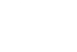 Lyvia logo